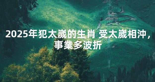2025年犯太嵗的生肖 受太嵗相沖，事業多波折